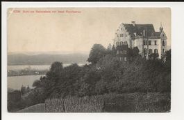 AK ca.1905 Schloss Salenstein mit Insel Reichenau