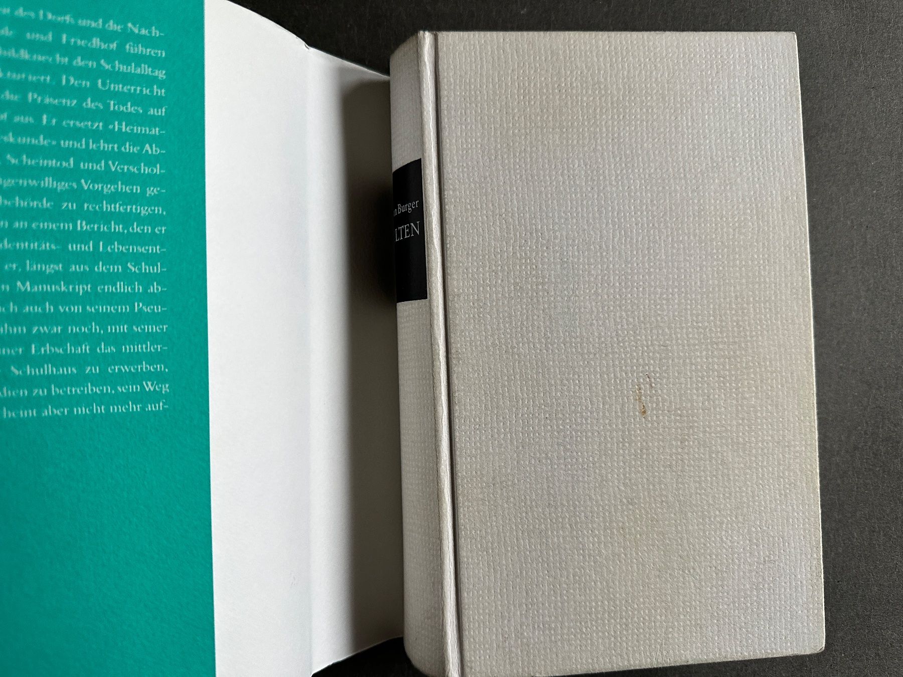 Libri: Hermann Burger: Schilten. – Usato da Zürich venduto da allp 1