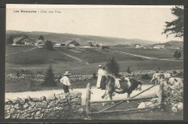Carte P ( Côte aux Fées / Les Bourquins )