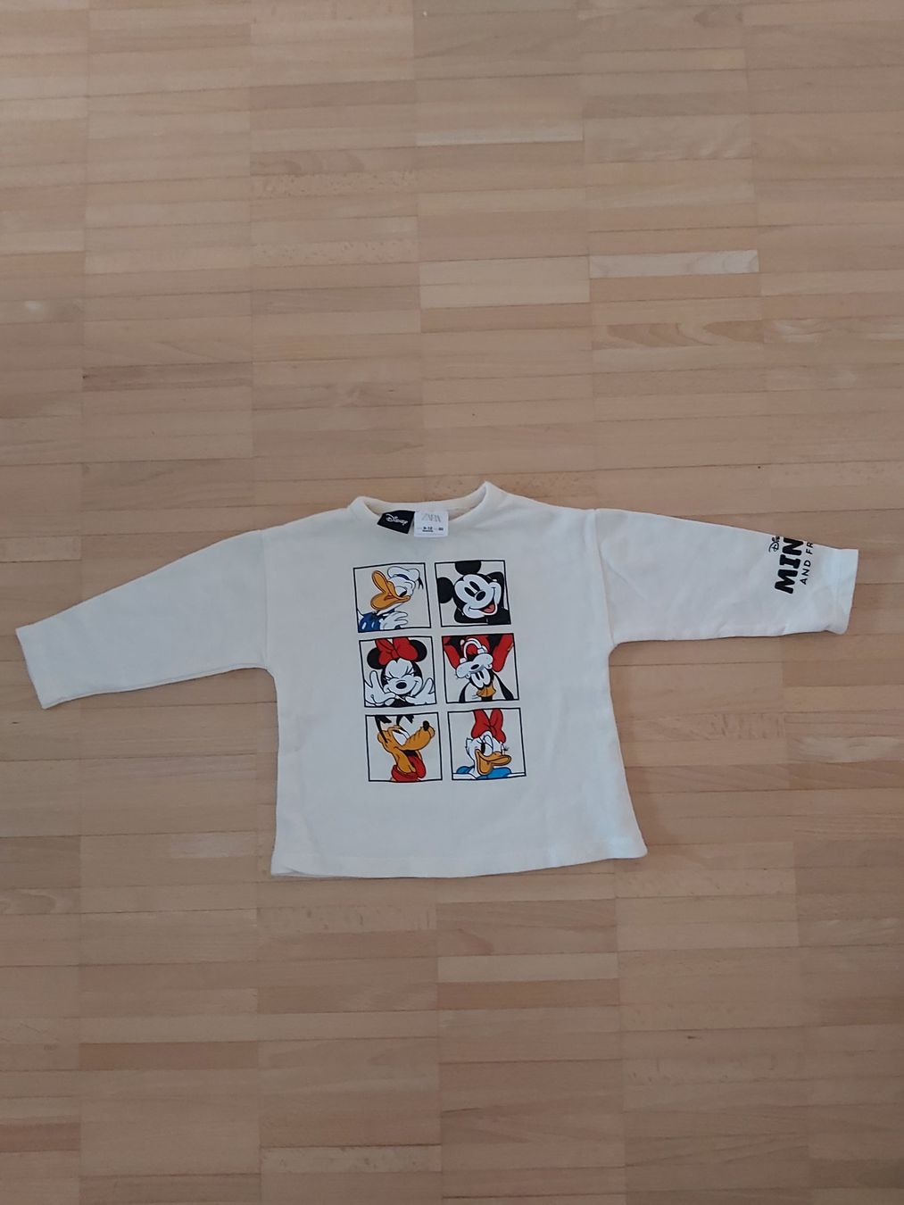 Zara Maglioni & Felpe: Sweatshirt Minnie Zara Grösse 80 – Usato da Frauenfeld venduto da mariom02