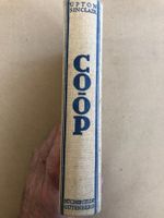 Upton Sinclair: Co-op. Weg der Amerikanischen Arbeitslosen