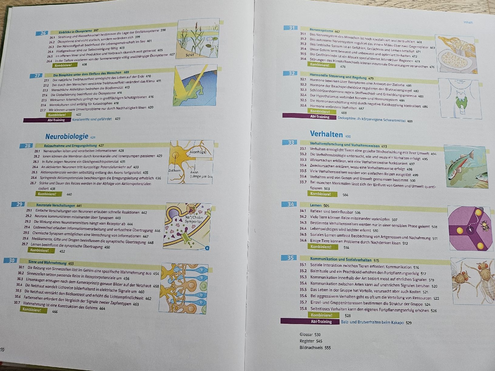 Libri: Markl Biologie | Oberstufe – Nuovo (secondo la descrizione) da Hüntwangen venduto da lev_pc9m 4