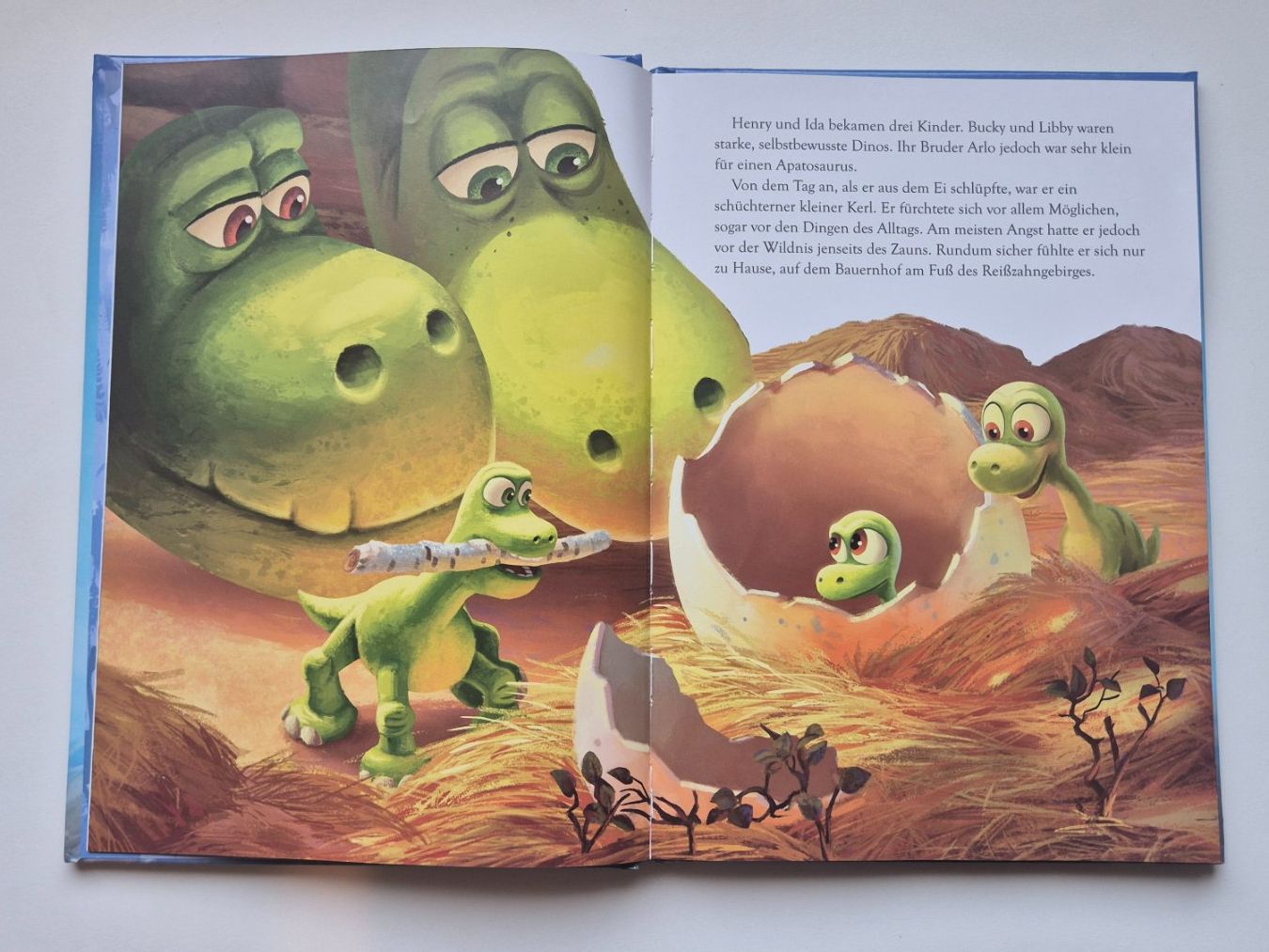 Bücher: ARLO & SPOT    🦕     Disney Pixar – Gebraucht aus Niederweningen von Obson 1
