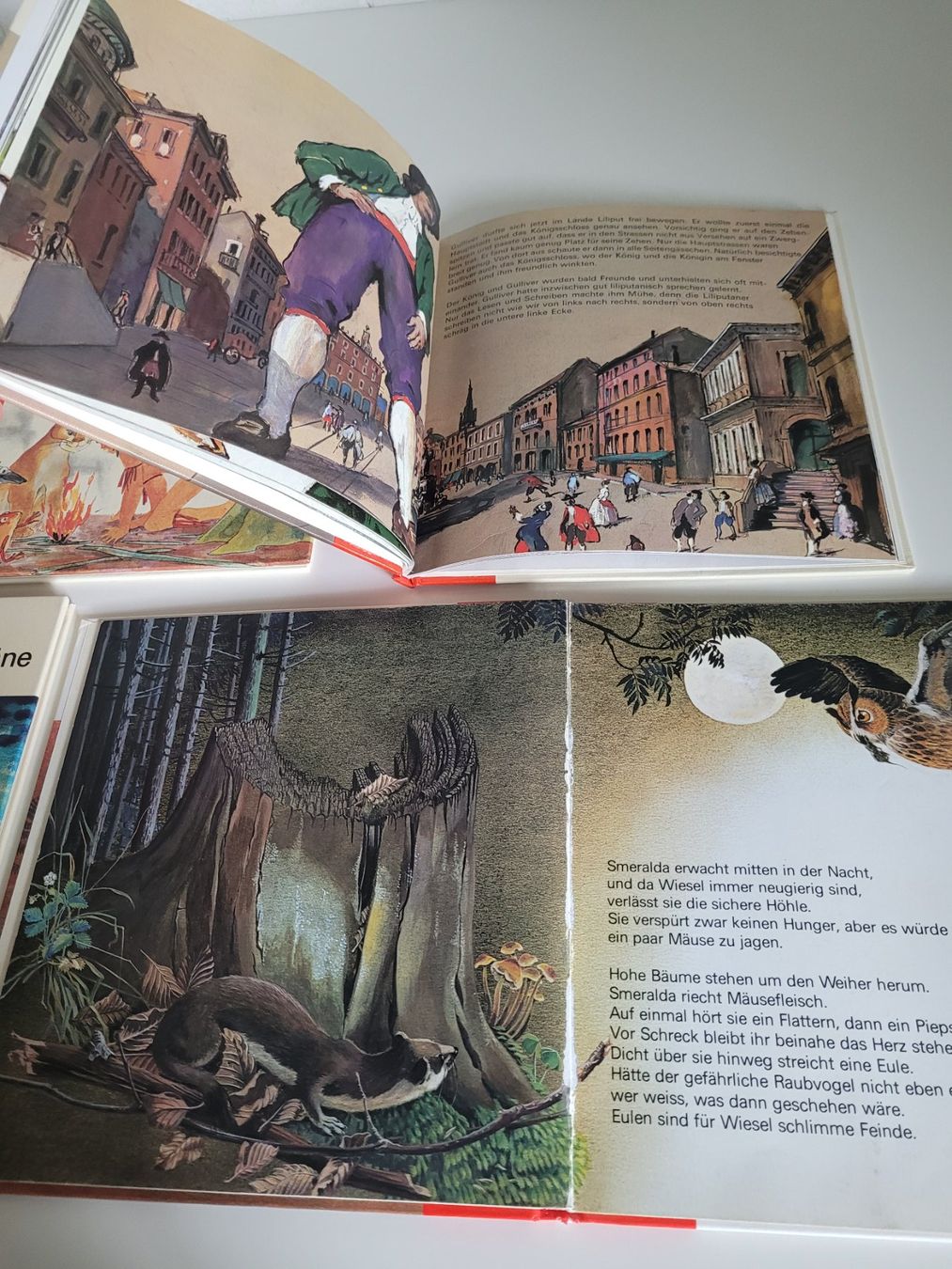 Bücher: 4x Silva Kinderbuch Klassiker Vintage Sammlung – Gebraucht aus Zofingen von Loop_ReSale 6