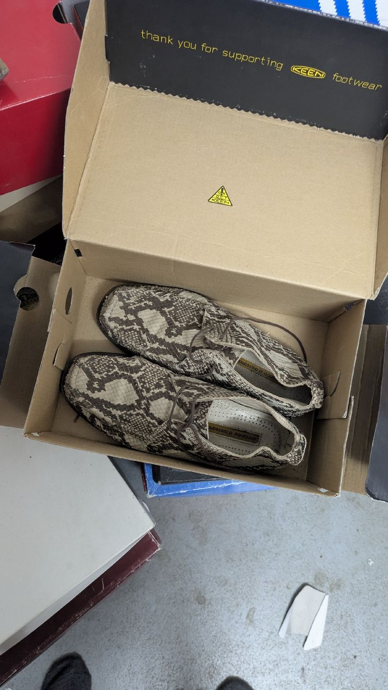 Scarpe da uomo: ARMANDO D'ALESSANDRO Schuhe Schlangenmuster – Usato da Morgarten venduto da rra_jvw7