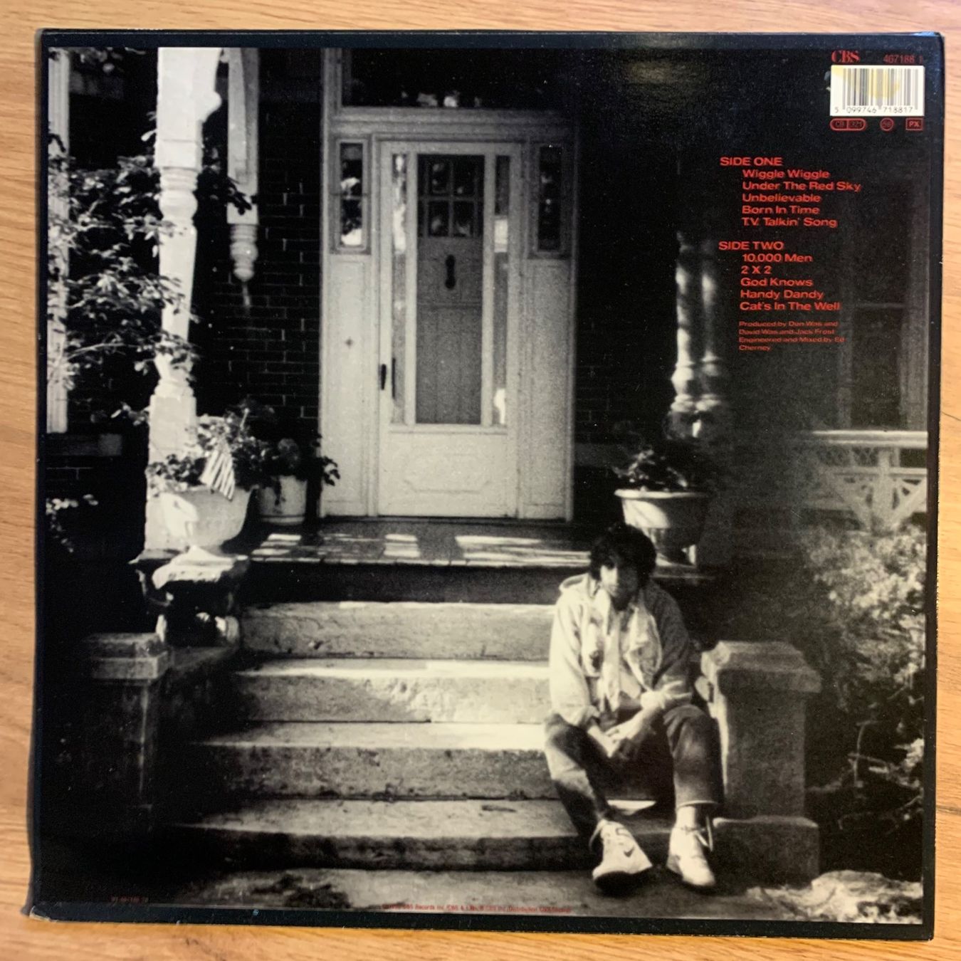 Dischi in vinile: BOB DYLAN - UNDER THE RED SKY...OG NL 1991...VG/VG++ – Usato da Gals venduto da Diskopatshop 1