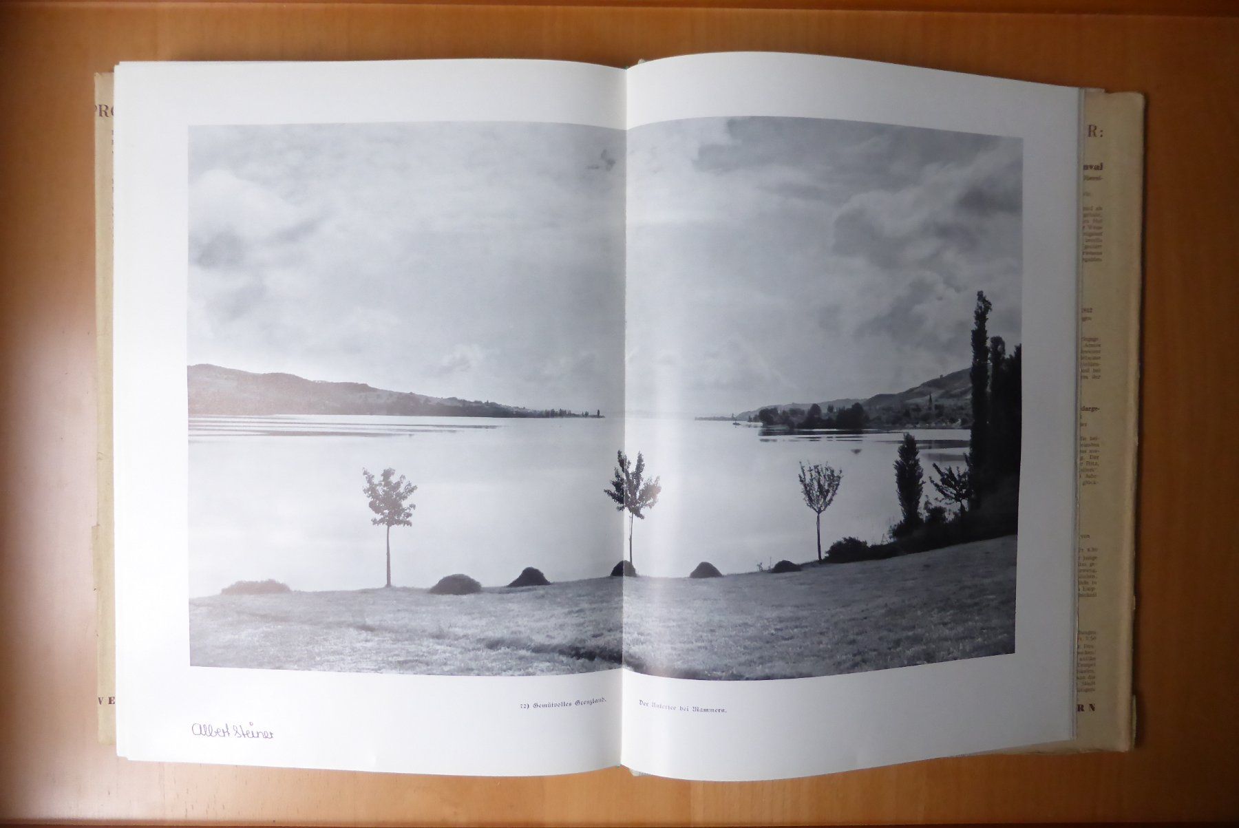 Bücher: Thurgau - Helvetia, 1941 – Gebraucht aus Brunnadern von lesezirkel 1