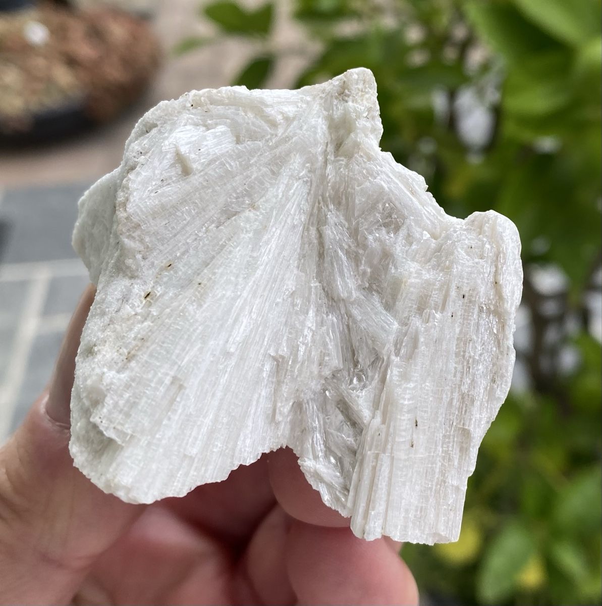Minerali & Pietre curative: Zwei schöne Mineralien  – Usato da Selzach venduto da 321compac 4