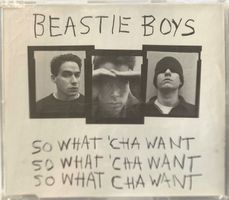 BEASTIE BOYS - SO WHAT' CHA WANT