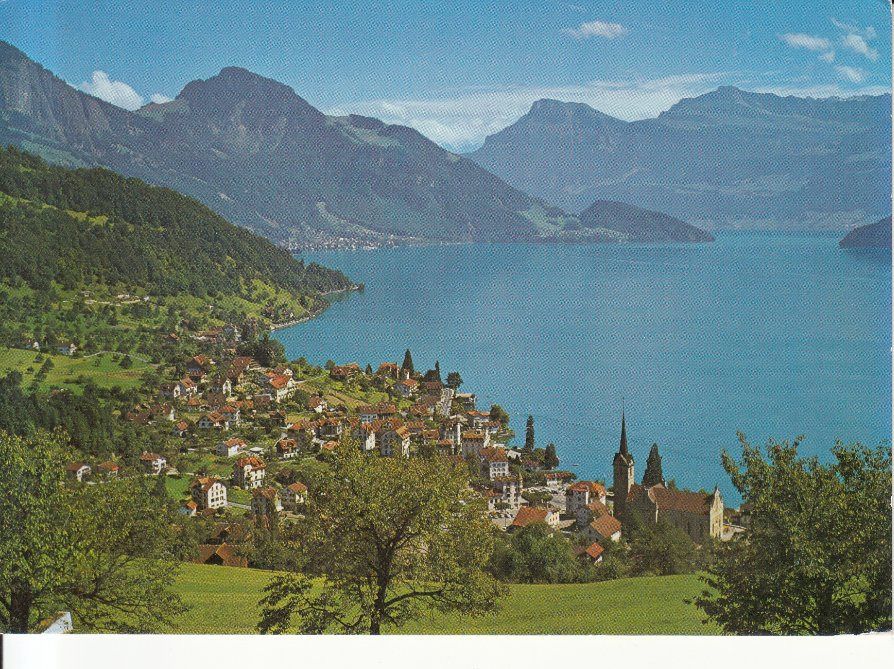 Cartes postales: Weggis ca. 1970 – D'occasion à Bürglen TG par StampGraf