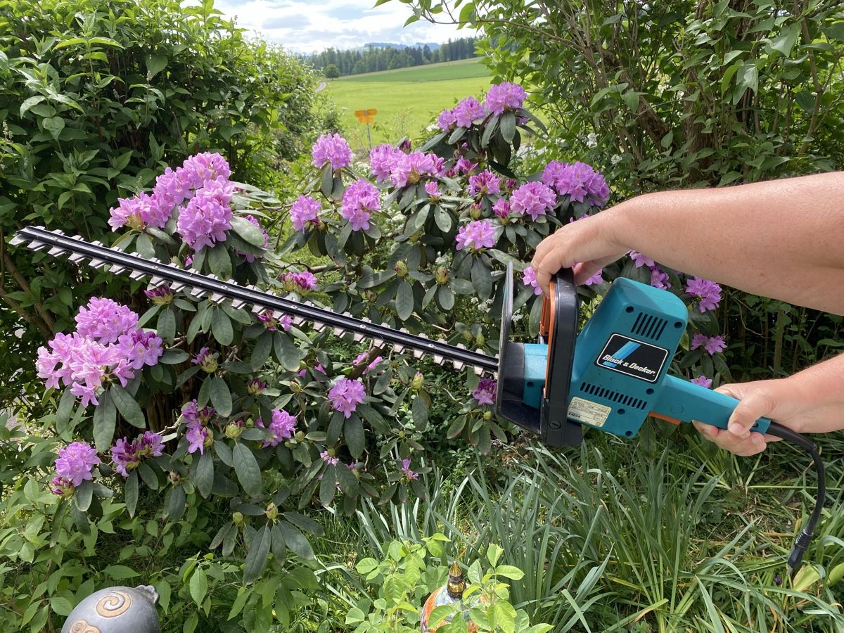 Tutti gli attrezzi: Black&Decker Heckenschere, funktioniert – Usato da Hünenberg venduto da a.u.849
