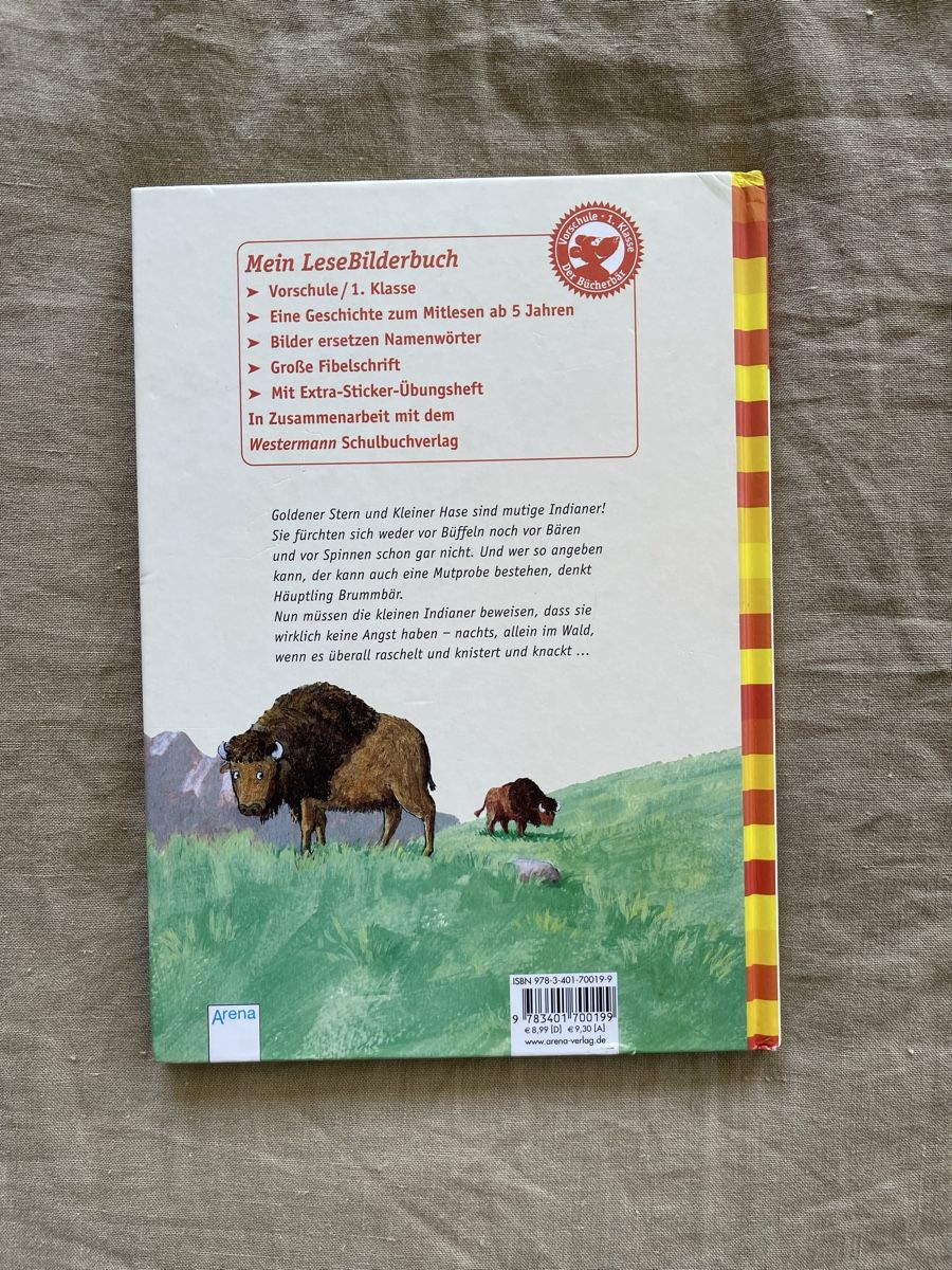 Libri: Kleiner Indianer, grosser Mut - LeseBilderbuch – Usato da Hirzel venduto da carta9 4