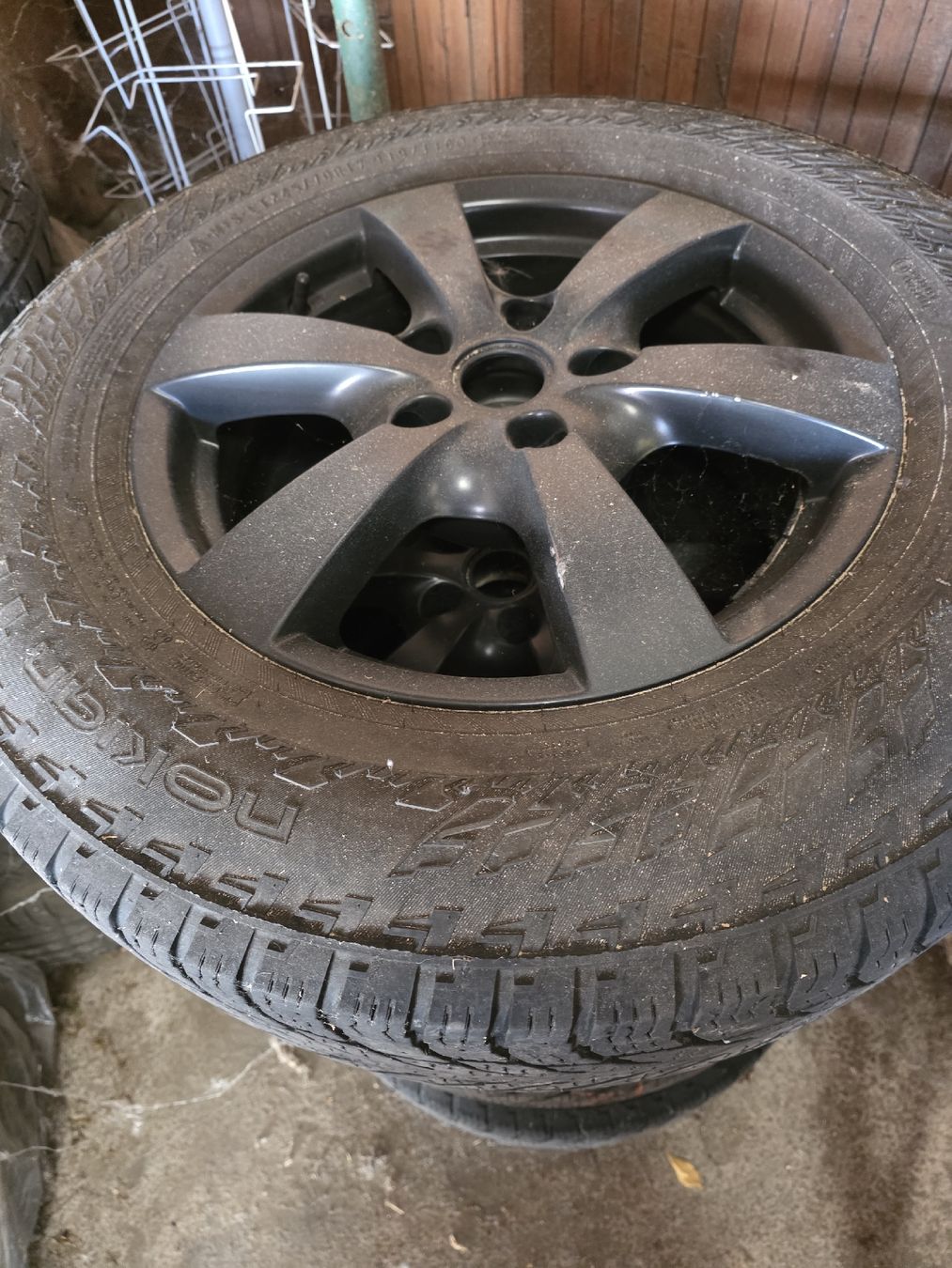 KGM-Ssangyong Automobili: Ssangyong Musso – Usato da Biberist venduto da mar_6q6v 7