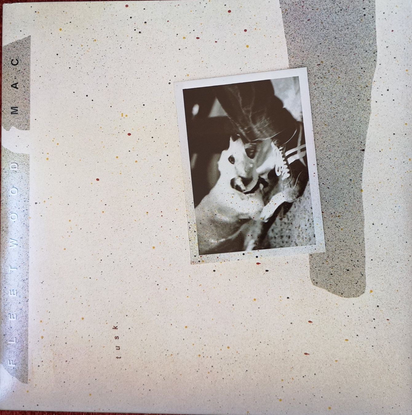 Dischi in vinile: 10 GEPFLEGTE ROCK/POP-ALBEN – Usato da Muttenz venduto da Sellerboy02 4