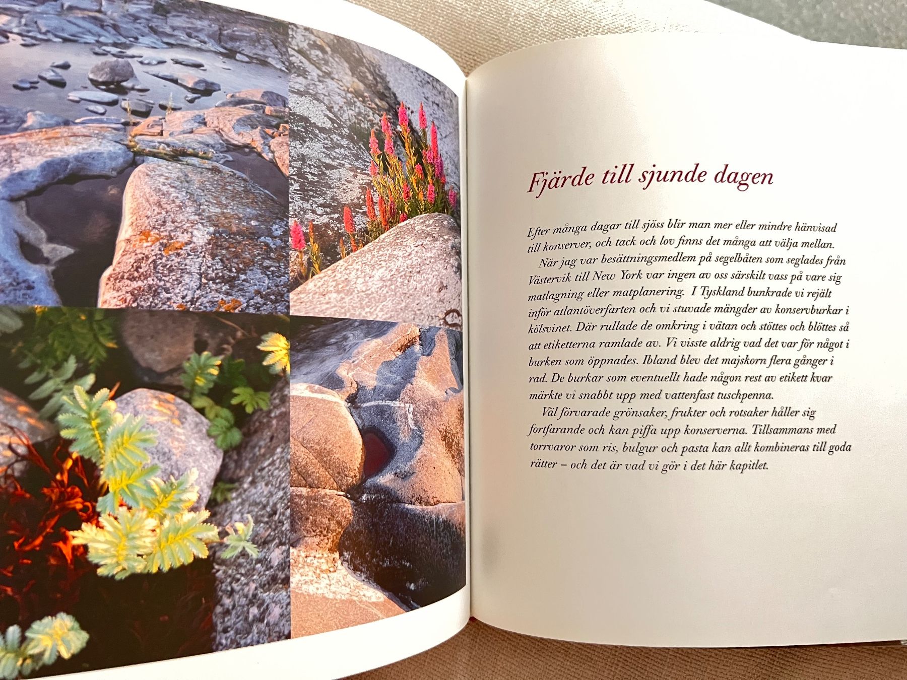 Livres: Swedish cookbook: SEGLARSENS KOKBOK – Neuf (Voir description) à Lausanne par NYC67 6