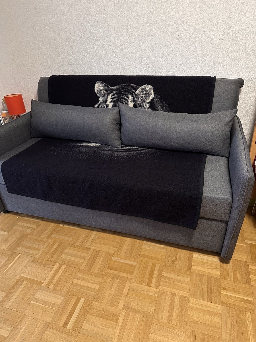 Sofas: Bettsofa – Neu (gemäss Beschreibung) aus Lyss von TopProdukte