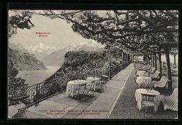 Seelisberg, Hotel Sonnenberg, Blick von 