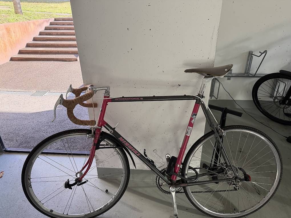 Biciclette: Rennvelo Stahl RH 62 – Usato da Zürich venduto da torstenspam