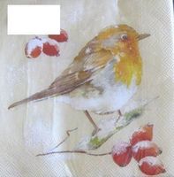 Serviette winter robin (w522) 2Stk.