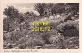 Pforzheim - Alpengarten /mp
