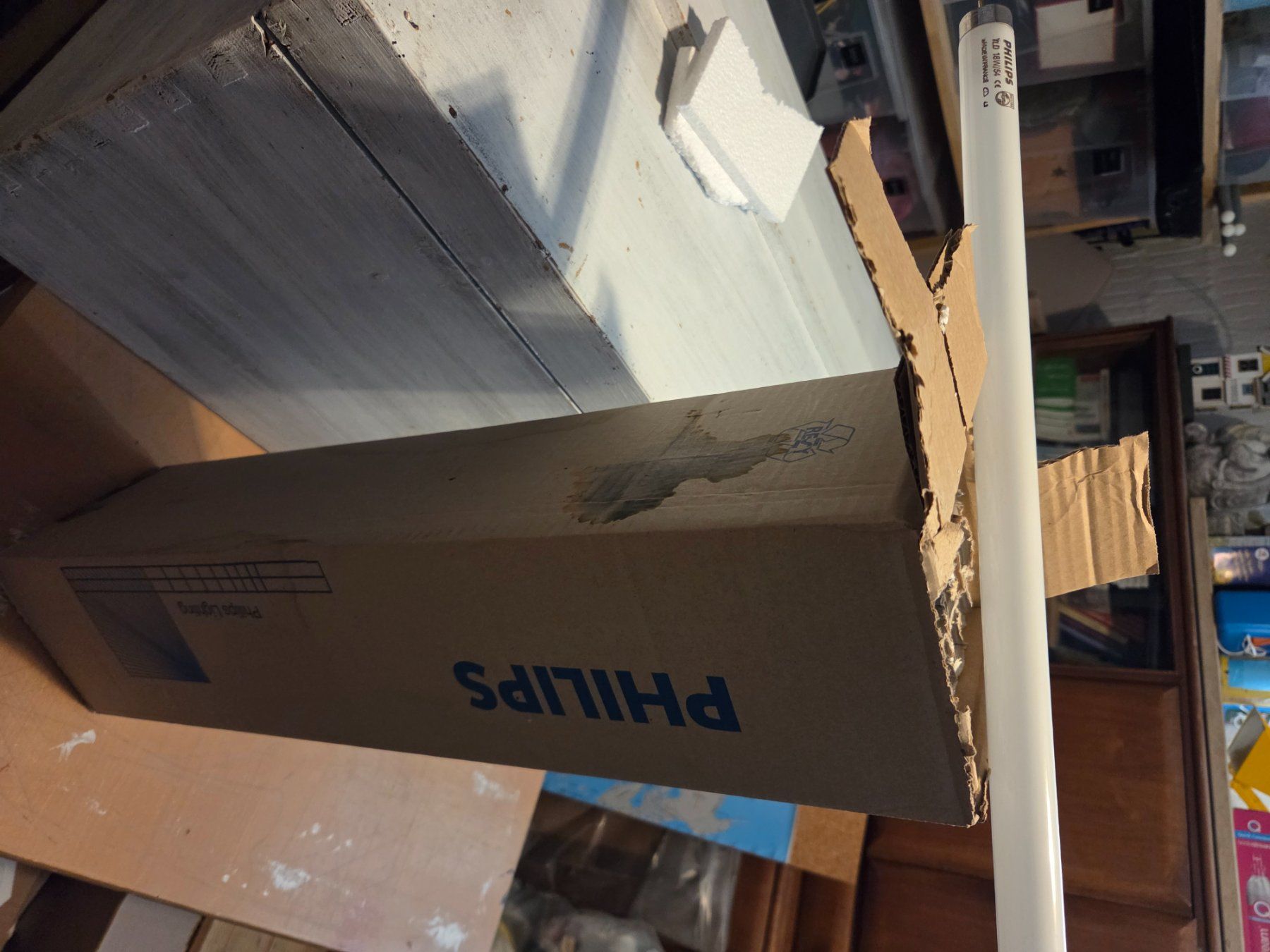 Philips Lampes: Neonröhren 60cm – Neuf avec emballage d'origine à Hasle LU par chicco73 1