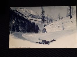 WINTERSPORT - SCHLITTEN