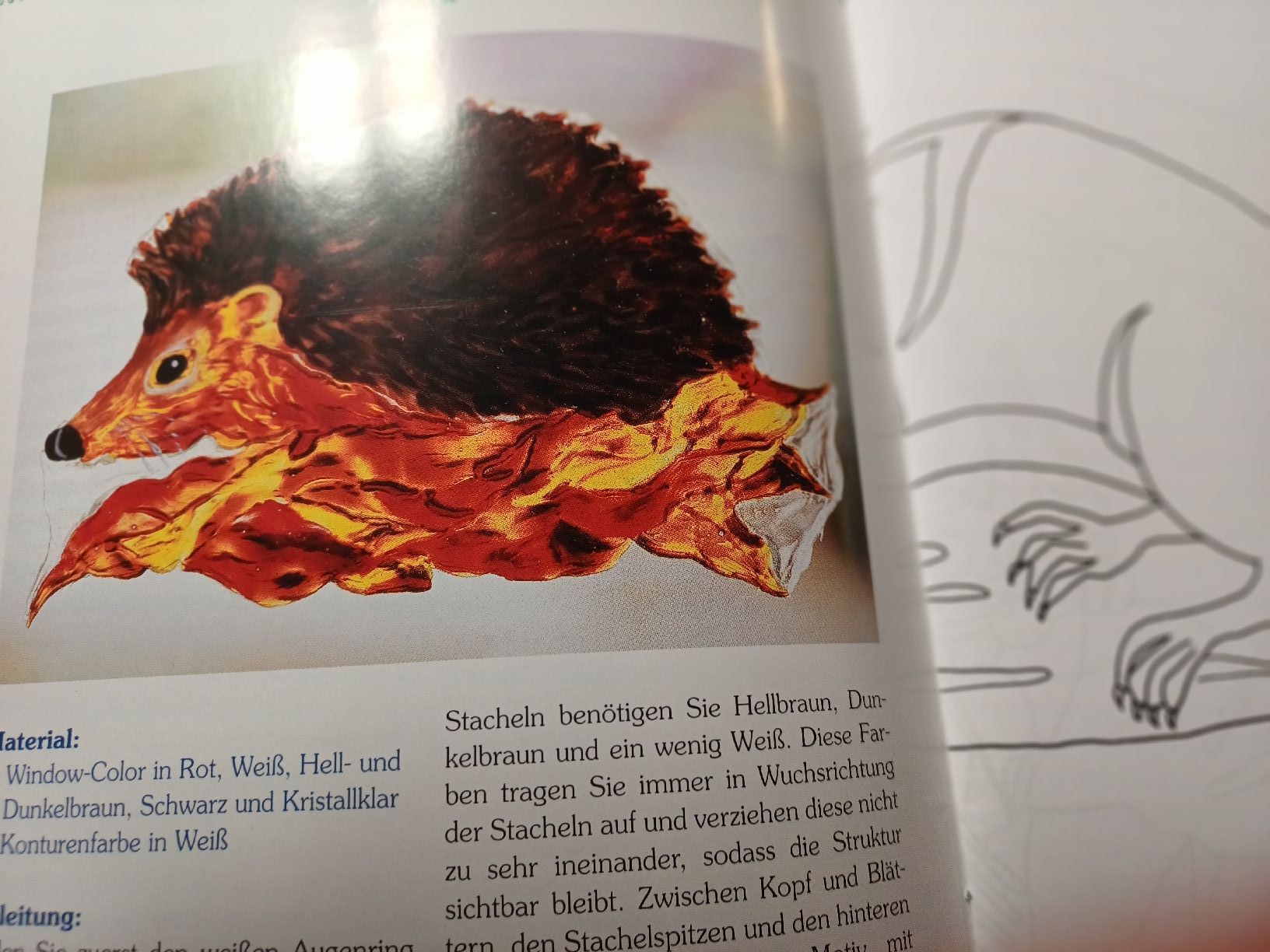 Bücher: 4 Bastelbücher (V) – Defekt aus Gächliwil von lesidees 2