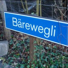 Profile image of Baerewaegli