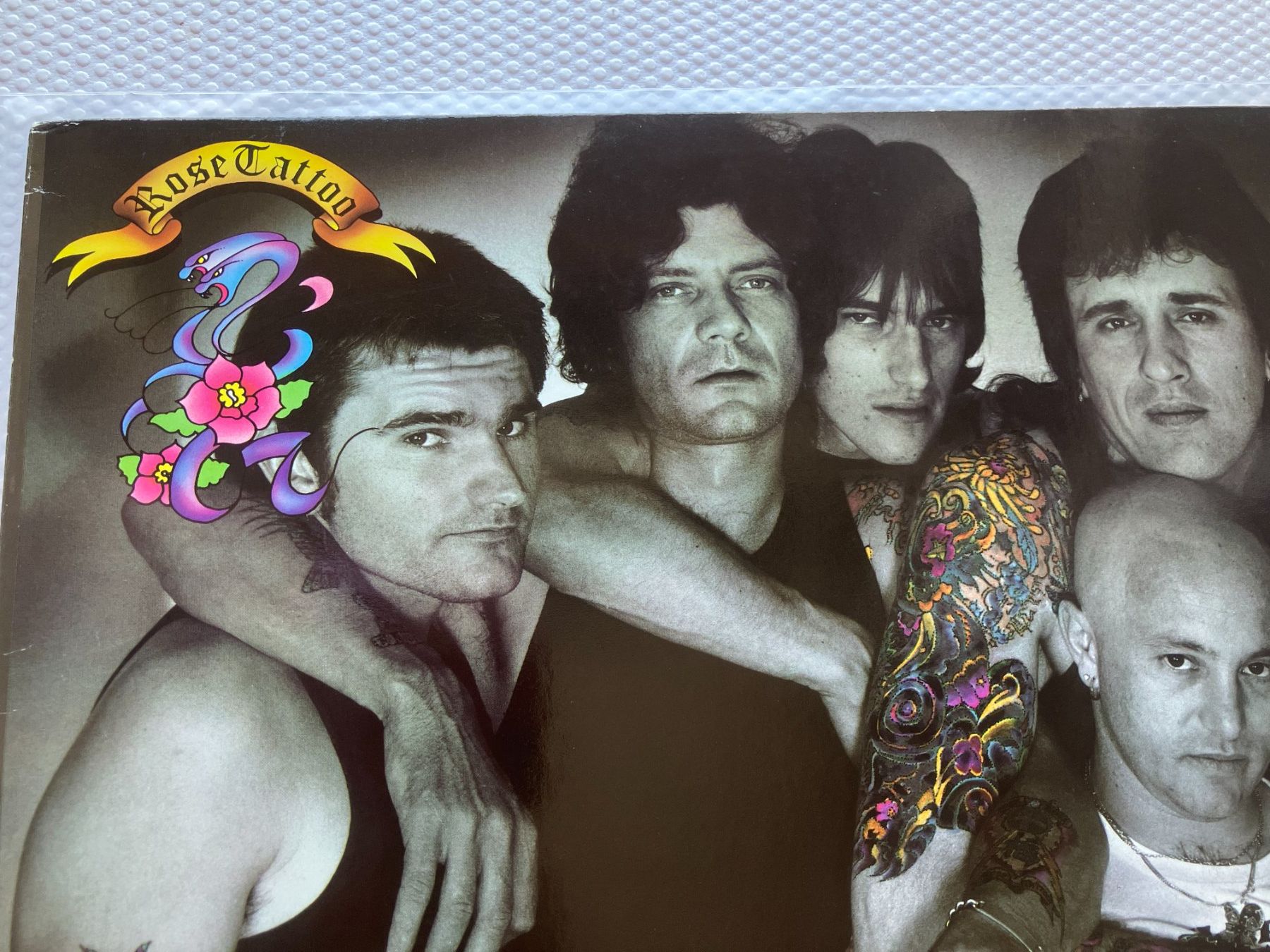 Dischi in vinile: Rose Tattoo – Usato da Aarwangen venduto da Jukebox3 1