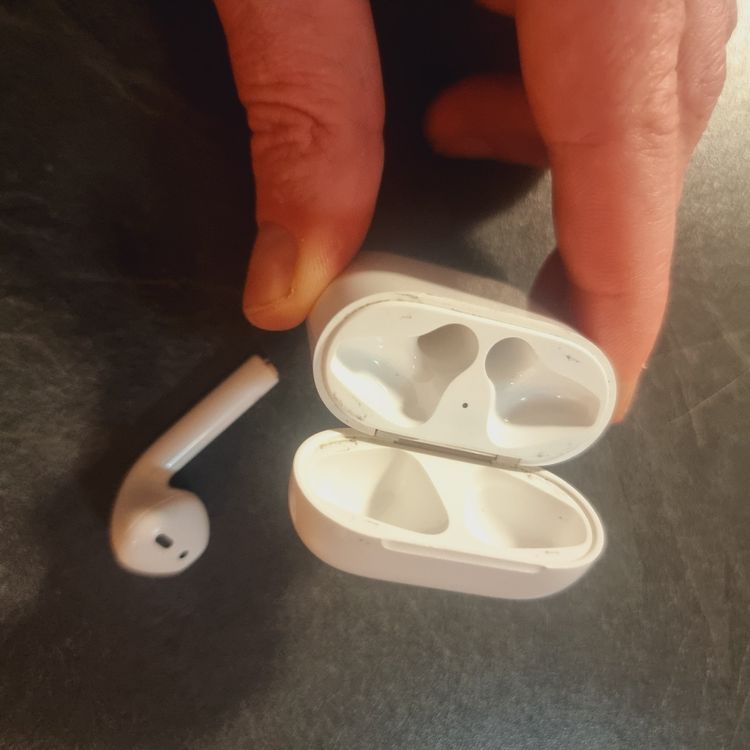 Niedliche Capybara Hülle Für AirPods 4 (2024) – Stoßfest, Mit Karabiner, Für Mädchen & Jungen
