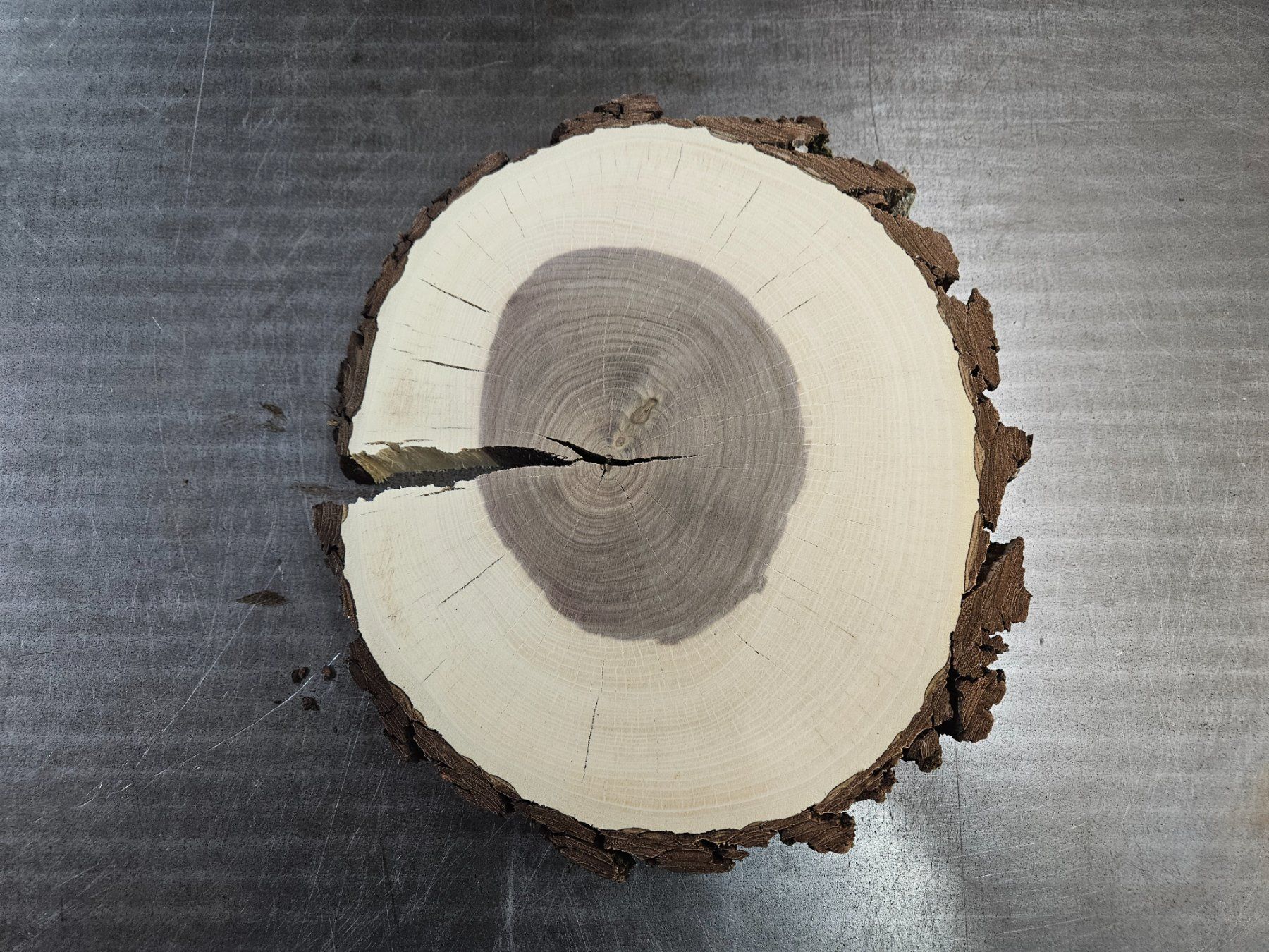 Articoli in legno: Nussbaum Holz Baumscheibe – Nuovo (secondo la descrizione) da Schangnau venduto da egli6.2 2
