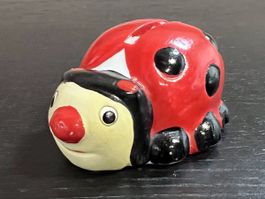 Süsses Marienkäferli Sparschwein - Glücksbringer 🐞💰🍀
