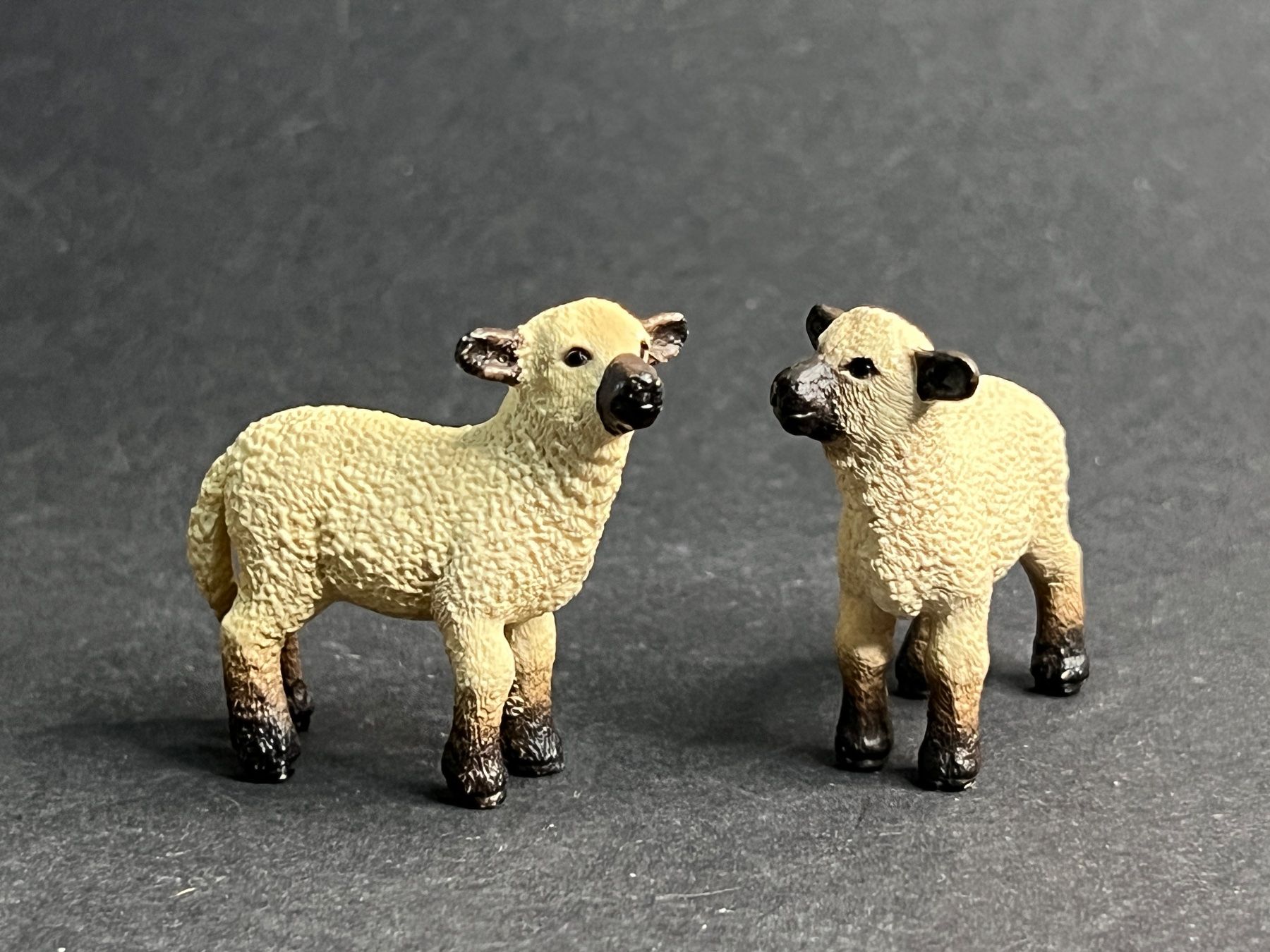 Schleich Figuren: Tolle Schleich Schafe Schaf Widder Lamm Bock Schafherde – Gebraucht aus Ennetbaden von mapa05 3