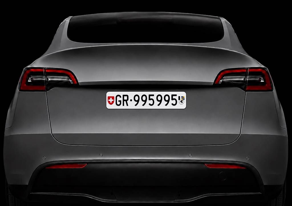 Insegne: GR Autonummer/Kontrollschild – Usato da Chur venduto da autonummer-gr.ch 2