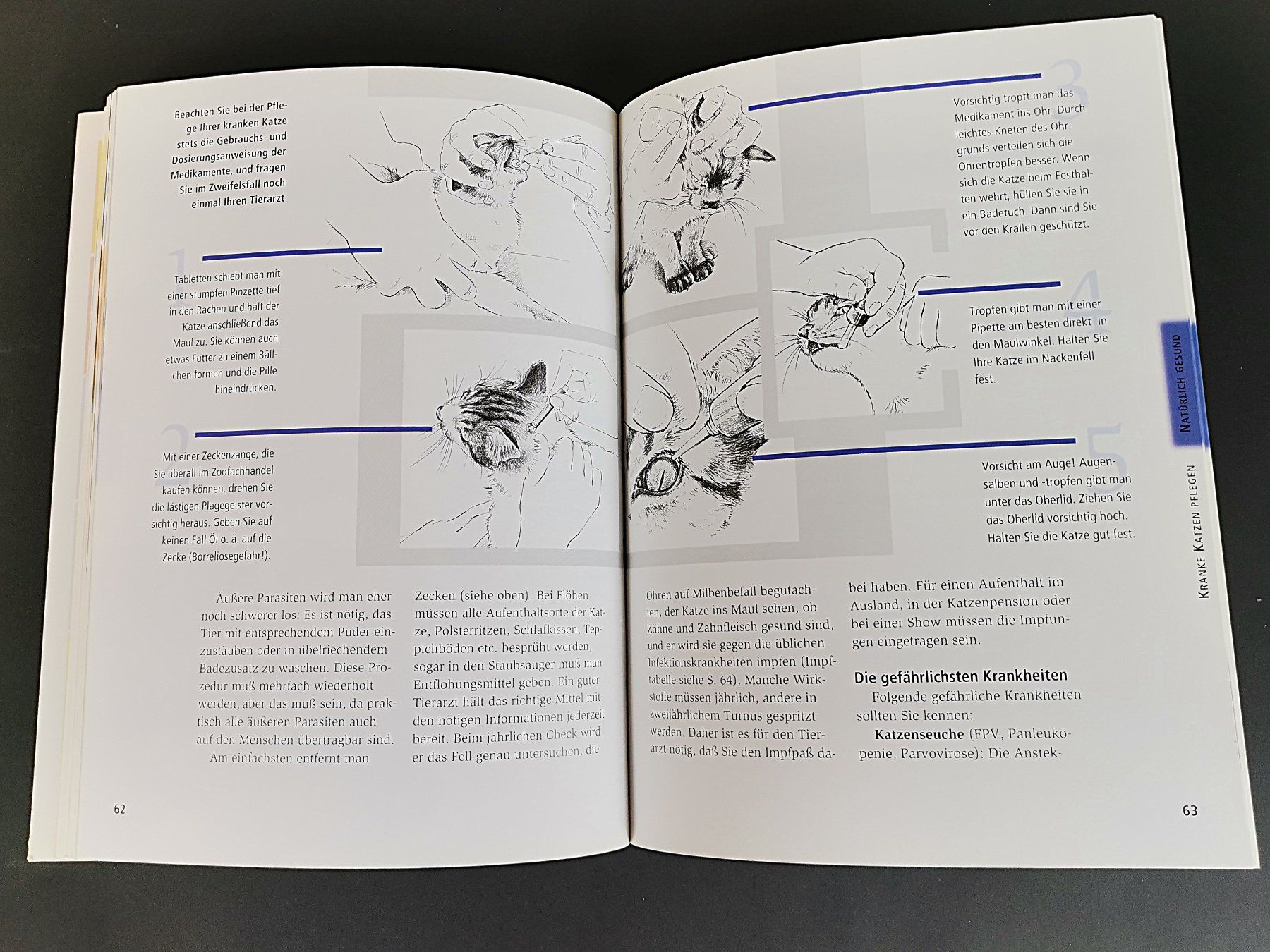 Bücher: Buch - Meine Katze – Gebraucht aus Schaffhausen von Restwert_SH 6