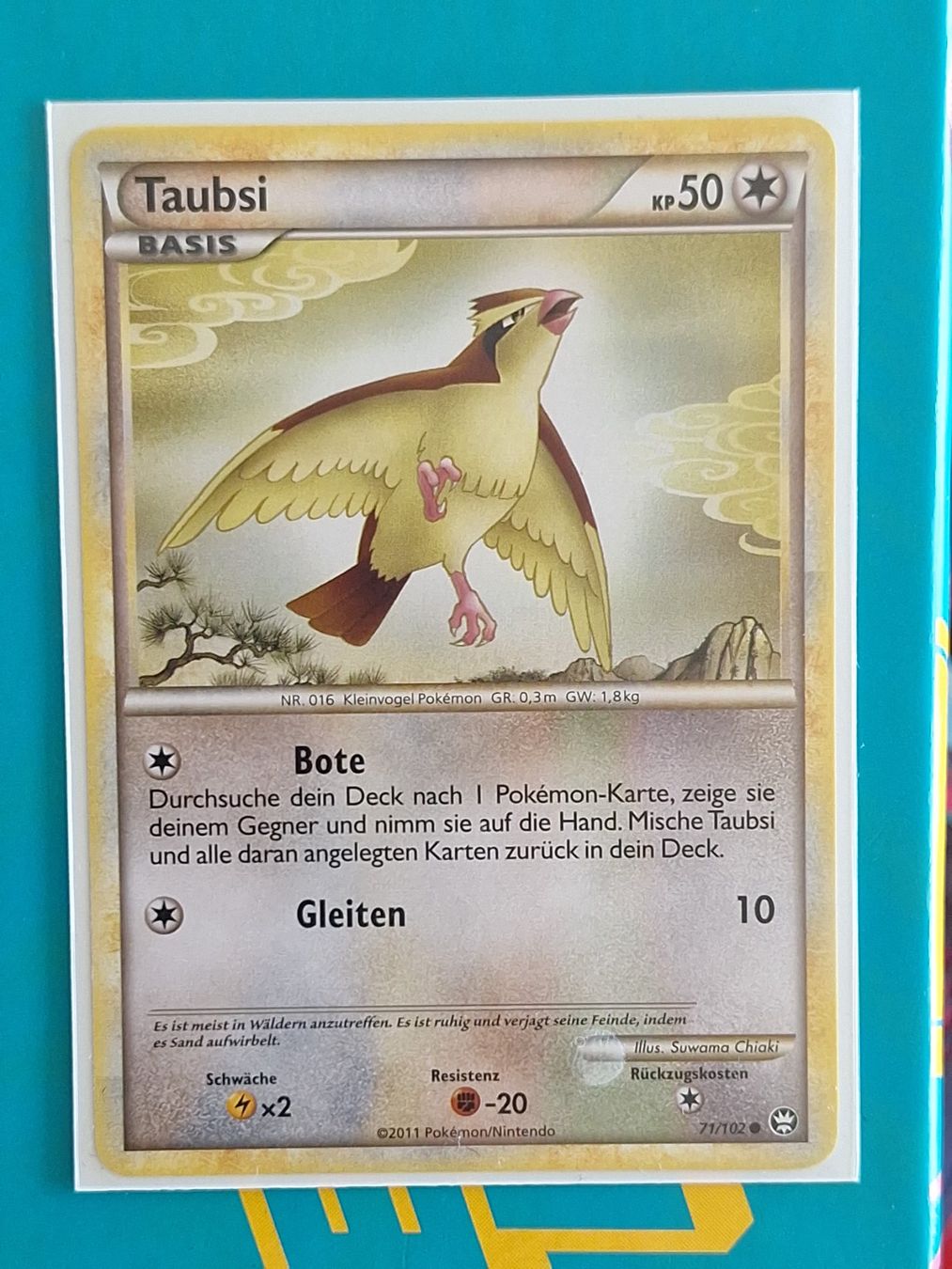 Pokémon Carte collezionabili: Taubsi - Pokemon Triumph - Boosterfrisch – Usato da Altstätten SG venduto da GGsGameshop