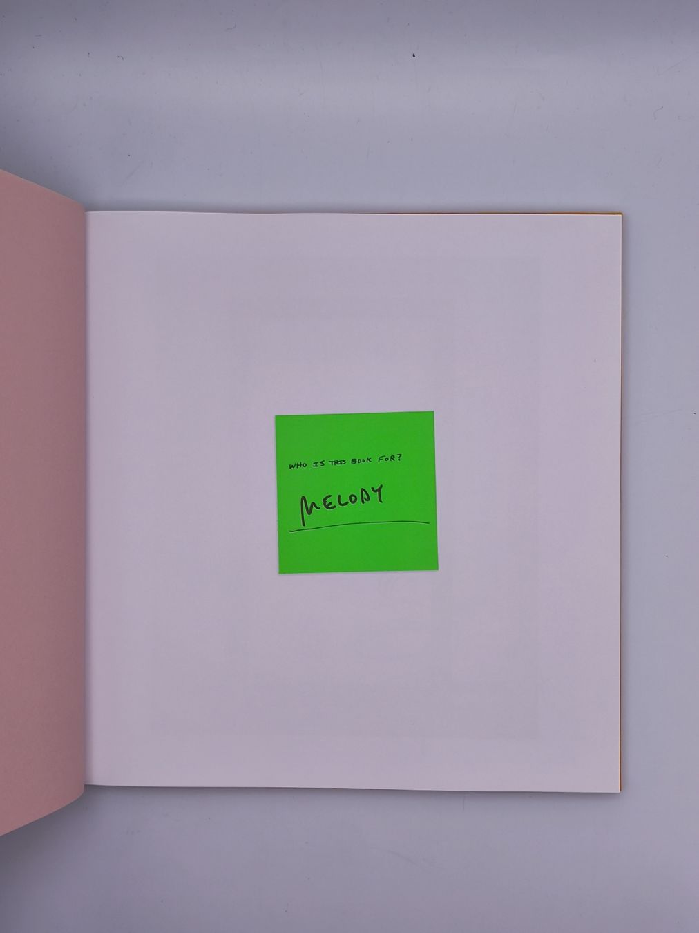 Libri: PHOTOBOOKS - ALEX SOTH - WIDMUNG – Usato da Goldach venduto da Gaip 9