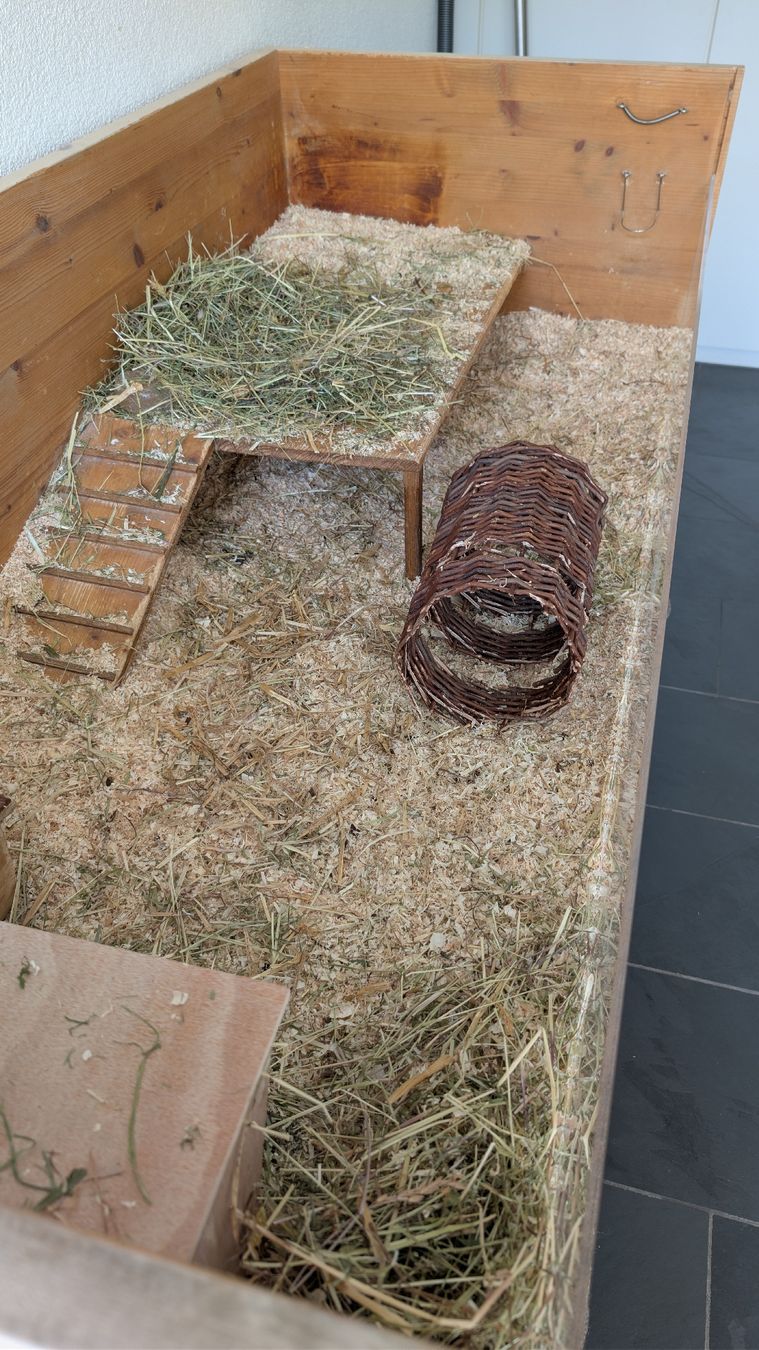 Gabbie, trasporto & Sicurezza: Meerschweinchen Gehege – Usato da Stäfa venduto da Viviane77 1