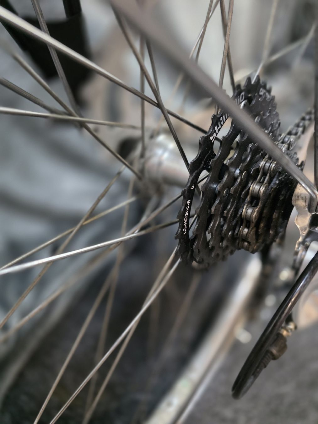 Velos: Damen Velo – Gebraucht aus Kaiseraugst von Diabolik 7