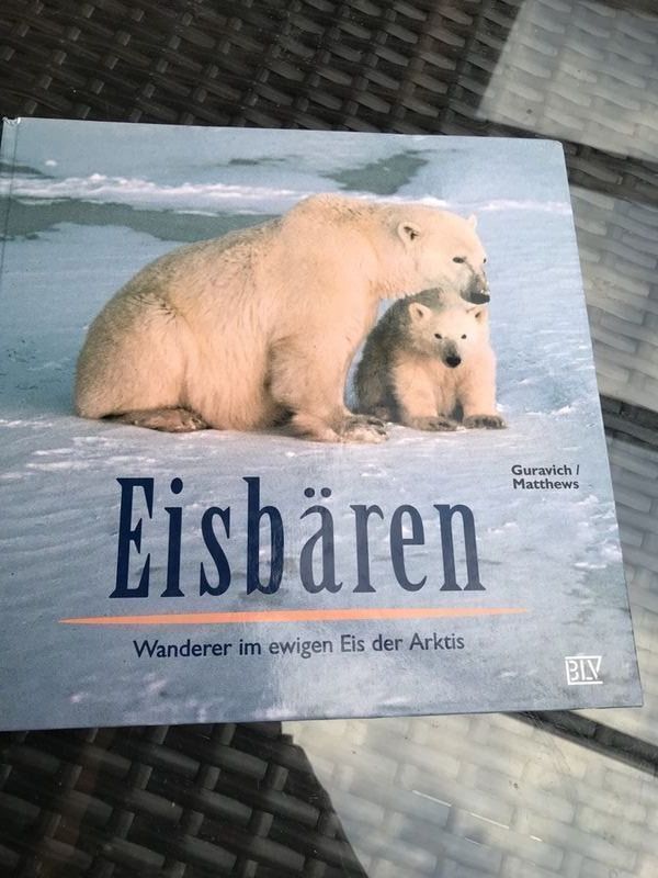 Libri: Eisbären - Wanderer im ewigen Eis der Arktis – Usato da Bergdietikon venduto da book-4-you