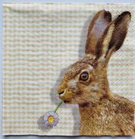 Serviette Tier Feldhase Waldtier Ostern Hase Jagd