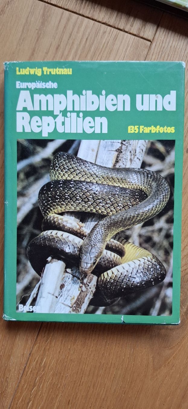 Libri: 3 Bücher zu Schlangen und Reptilien – Usato da Mellingen venduto da lathei 1