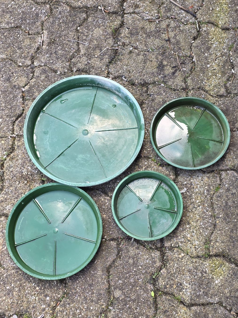Vasi per fiori: Four Green Plastic Plant Saucers - Various Sizes! – Usato da Hinwil venduto da Ehretstock8 1