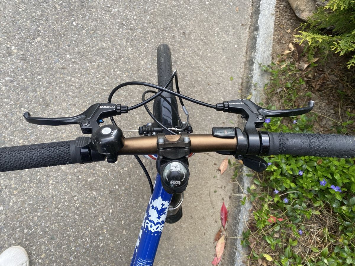 Biciclette: Frog Bike 52 – Usato da Berikon venduto da michiboller 2