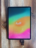 iPad Pro 11“ (4th Generation, 128 GB) + Apple Pencil + Case
