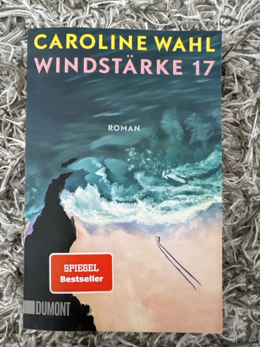 Libri: Caroline Wahl - Windstärke 17 – Usato da Zürich venduto da nad_9rlq