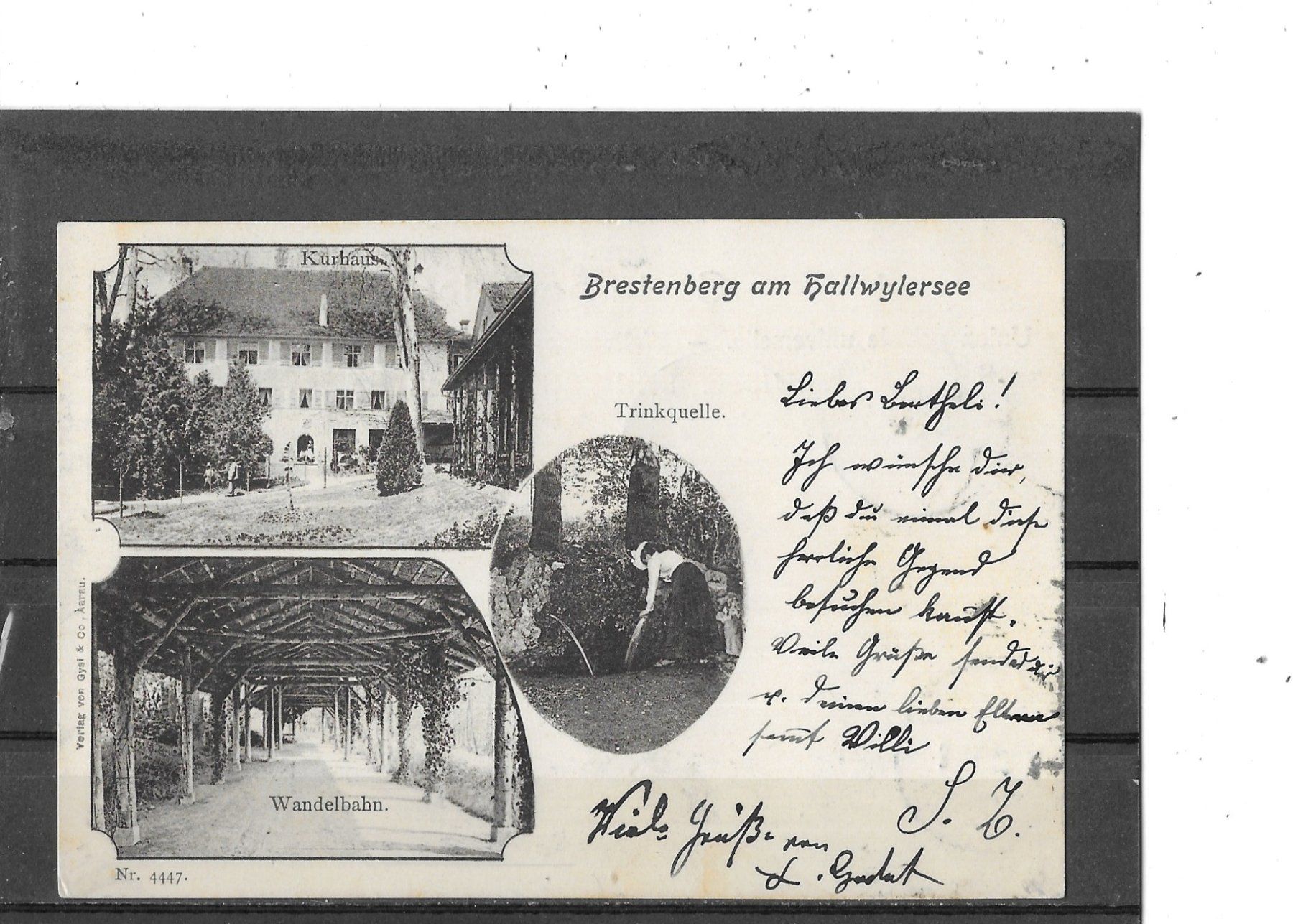 Cartoline postali: AG Brestenberg am Hallwilersee 1902 – Usato da Schocherswil venduto da Wilare