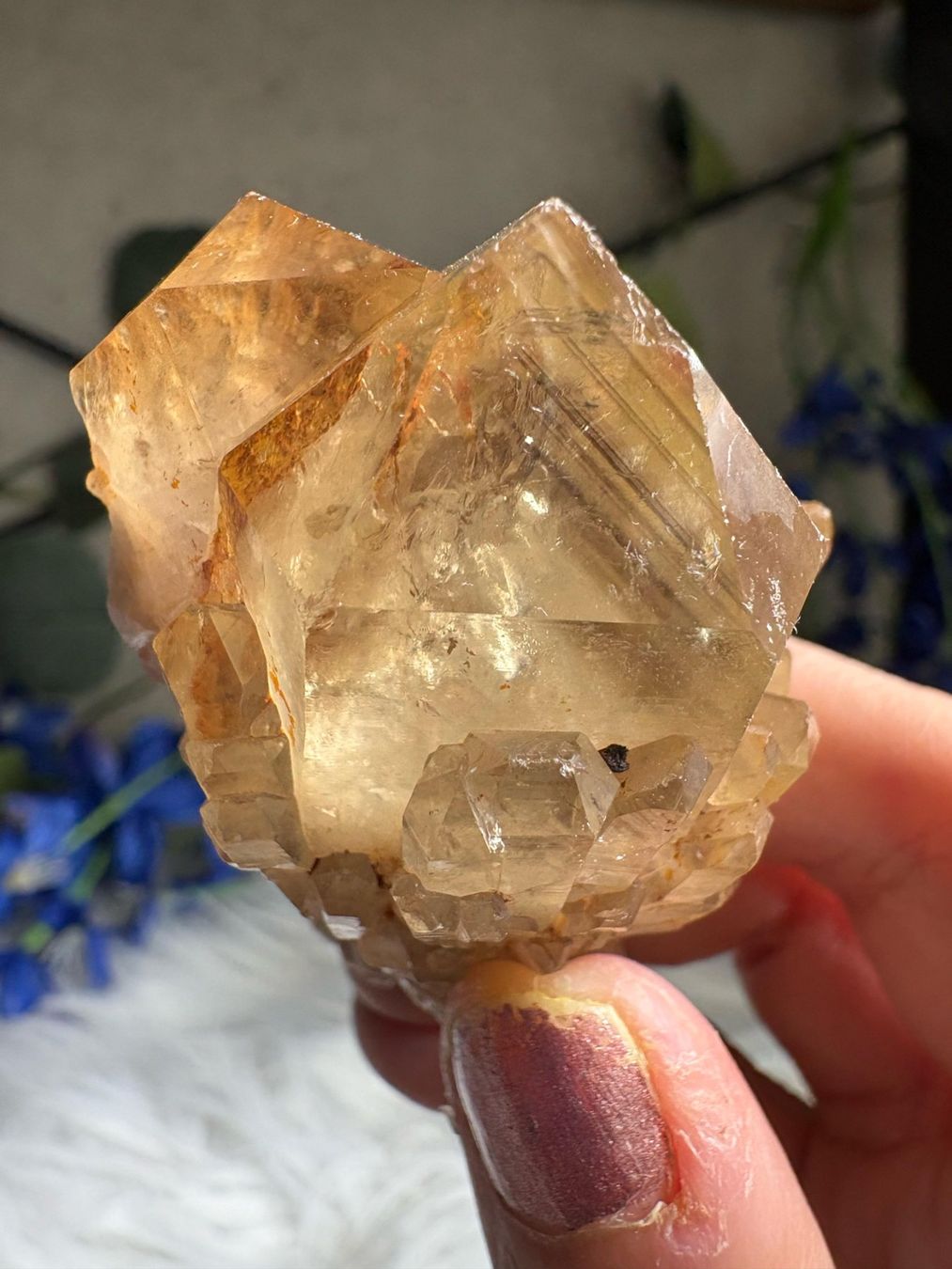 Minerali & Pietre curative: Kundalini Citrin Cluster mit Phantom – Nuovo (secondo la descrizione) da Neuheim venduto da m.hald 4
