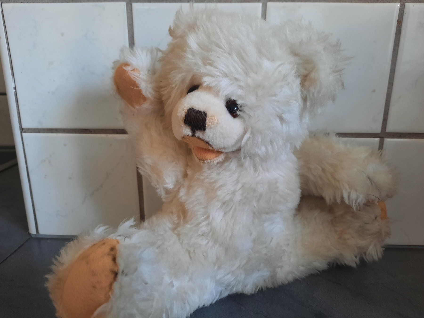 Steiff Giocattoli: STEIFF, OURS blanc – Usato da Le Locle venduto da marylise01