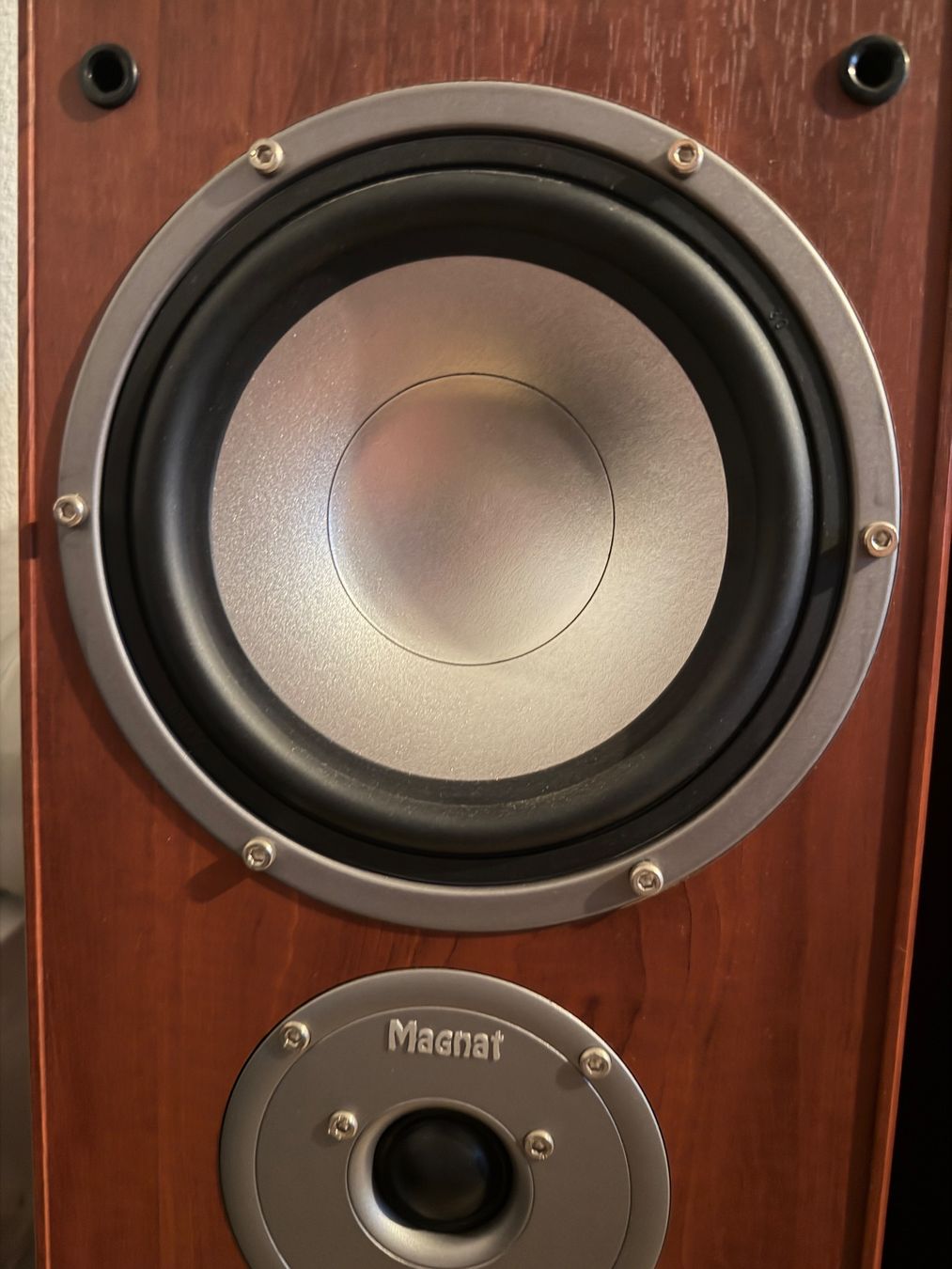 Magnat Haut-parleurs: Magnat Monitor 1000 – D'occasion à Untersiggenthal par jo_black82 4